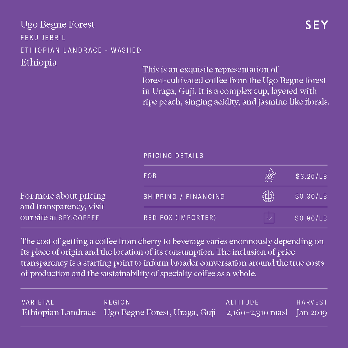 2019 Ugo Begne Forest; Feku Jabril - Ethiopia